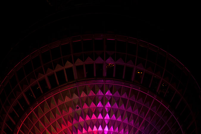 _DSC9531
